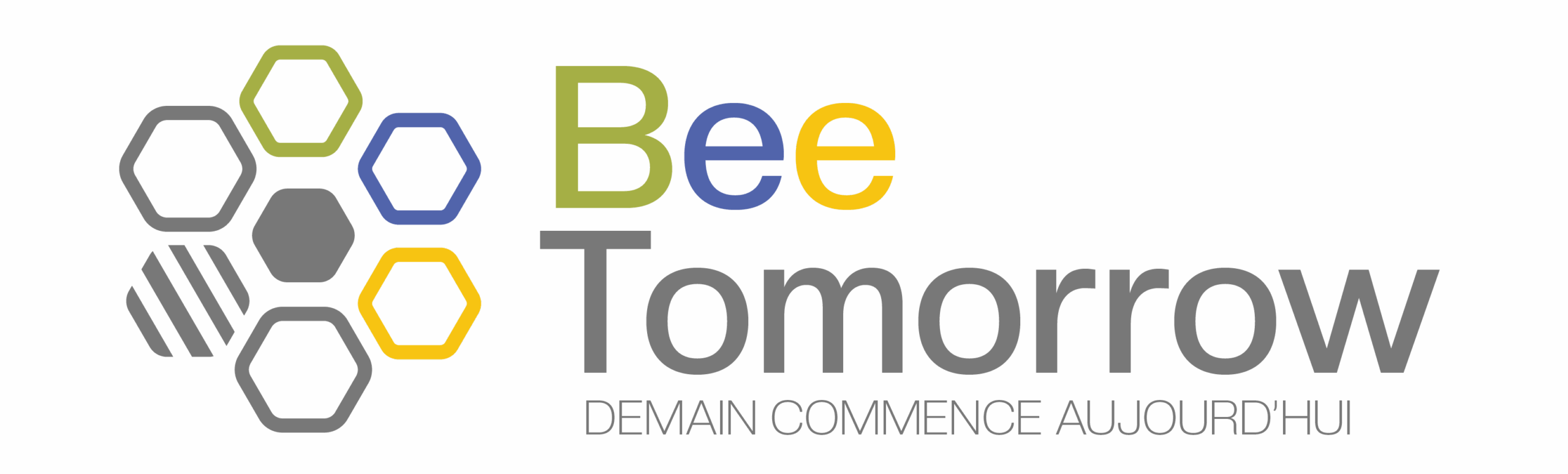 Conseil, Audit & Formation en RSE – ISO 26 000 / CSRD-VSME / ESG